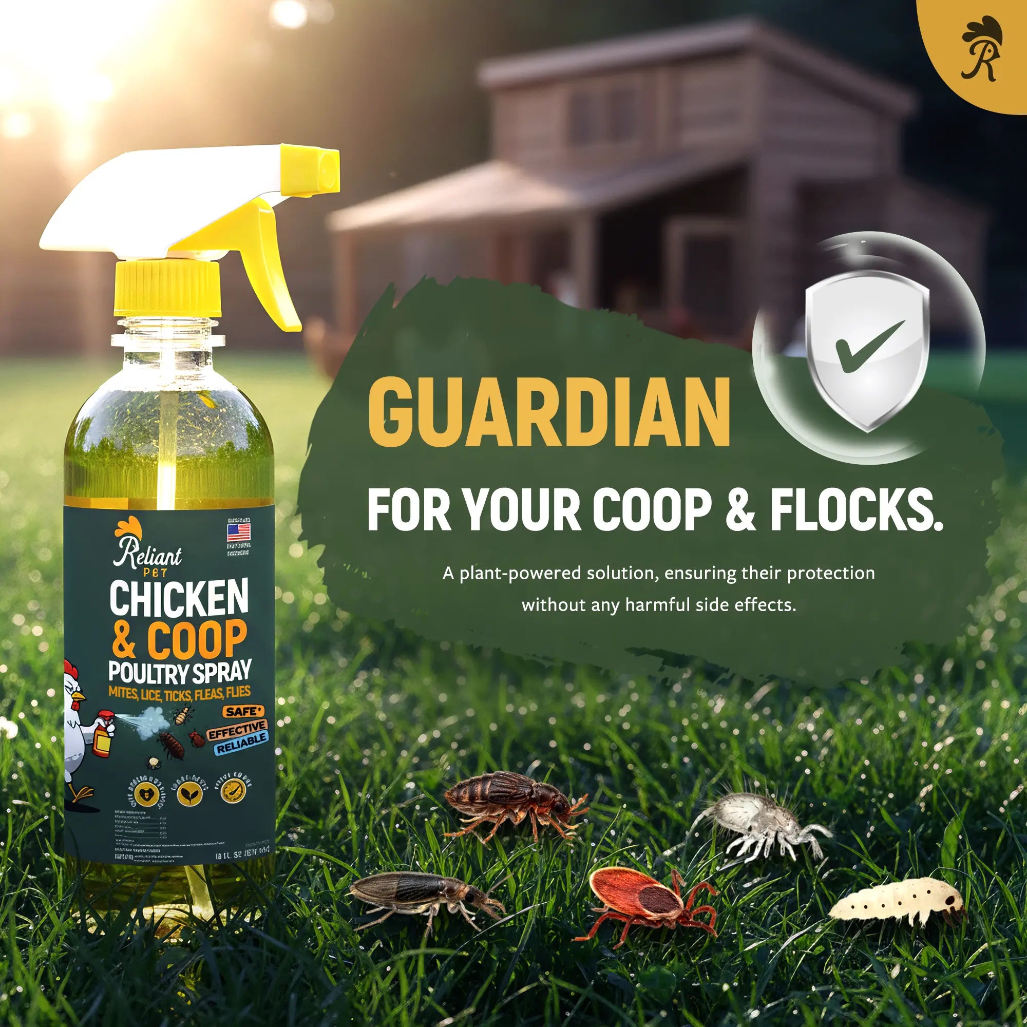 Reliant Pet Chicken & Coop Poultry Spray for Mites,Lice,Ticks,Fleas and Flies - Safe for Use on Chickens and No Egg Removal Needed - Sale - Mother'S Day Sale - Father'S Day Sale Outdoorfun