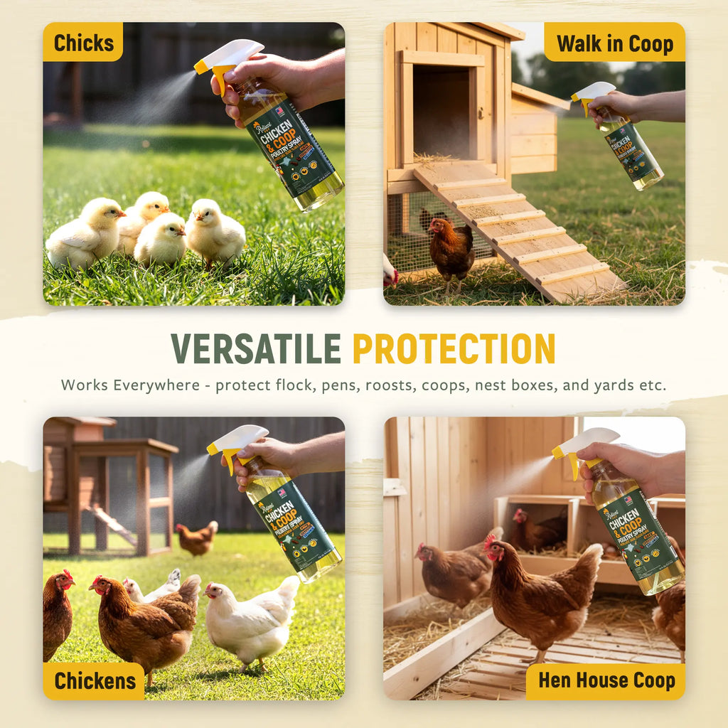 Reliant Pet Chicken & Coop Poultry Spray for Mites,Lice,Ticks,Fleas and Flies - Safe for Use on Chickens and No Egg Removal Needed - Sale - Mother'S Day Sale - Father'S Day Sale Outdoorfun