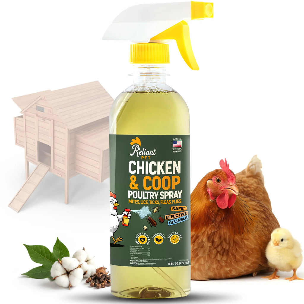Reliant Pet Chicken & Coop Poultry Spray for Mites,Lice,Ticks,Fleas and Flies - Safe for Use on Chickens and No Egg Removal Needed - Sale - Mother'S Day Sale - Father'S Day Sale Outdoorfun