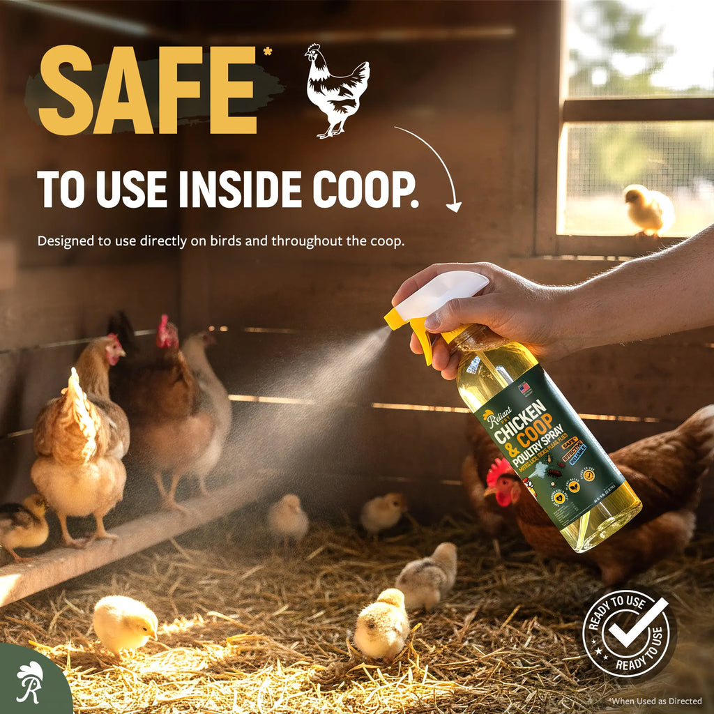 Reliant Pet Chicken & Coop Poultry Spray for Mites,Lice,Ticks,Fleas and Flies - Safe for Use on Chickens and No Egg Removal Needed - Sale - Mother'S Day Sale - Father'S Day Sale Outdoorfun